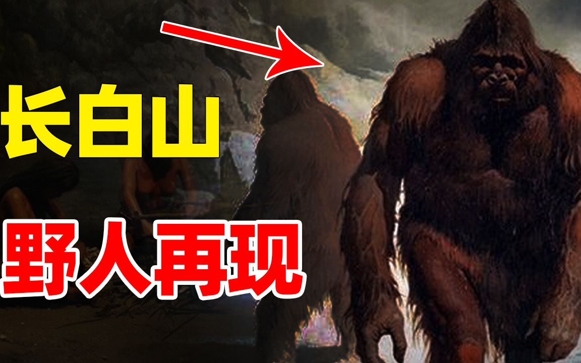 长白山"野人"再现,千人目睹人型生物,还找到野人寝宫?