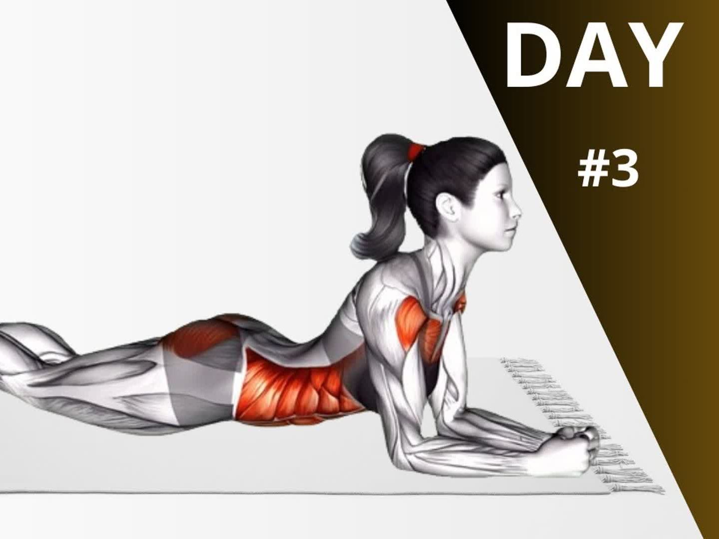 30天减脂塑型挑战:第 3 天(核心燃脂 有氧运动)