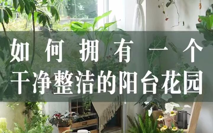 如何拥有一个干净整洁的阳台花园?哔哩哔哩bilibili