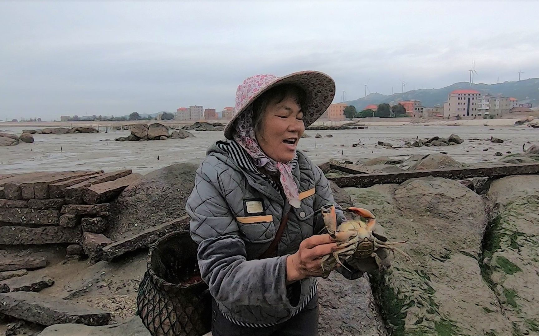 泰叔给海货们盖了别墅,泰婶刚来收就有好货,今天大货挺多真不错哔哩哔哩bilibili