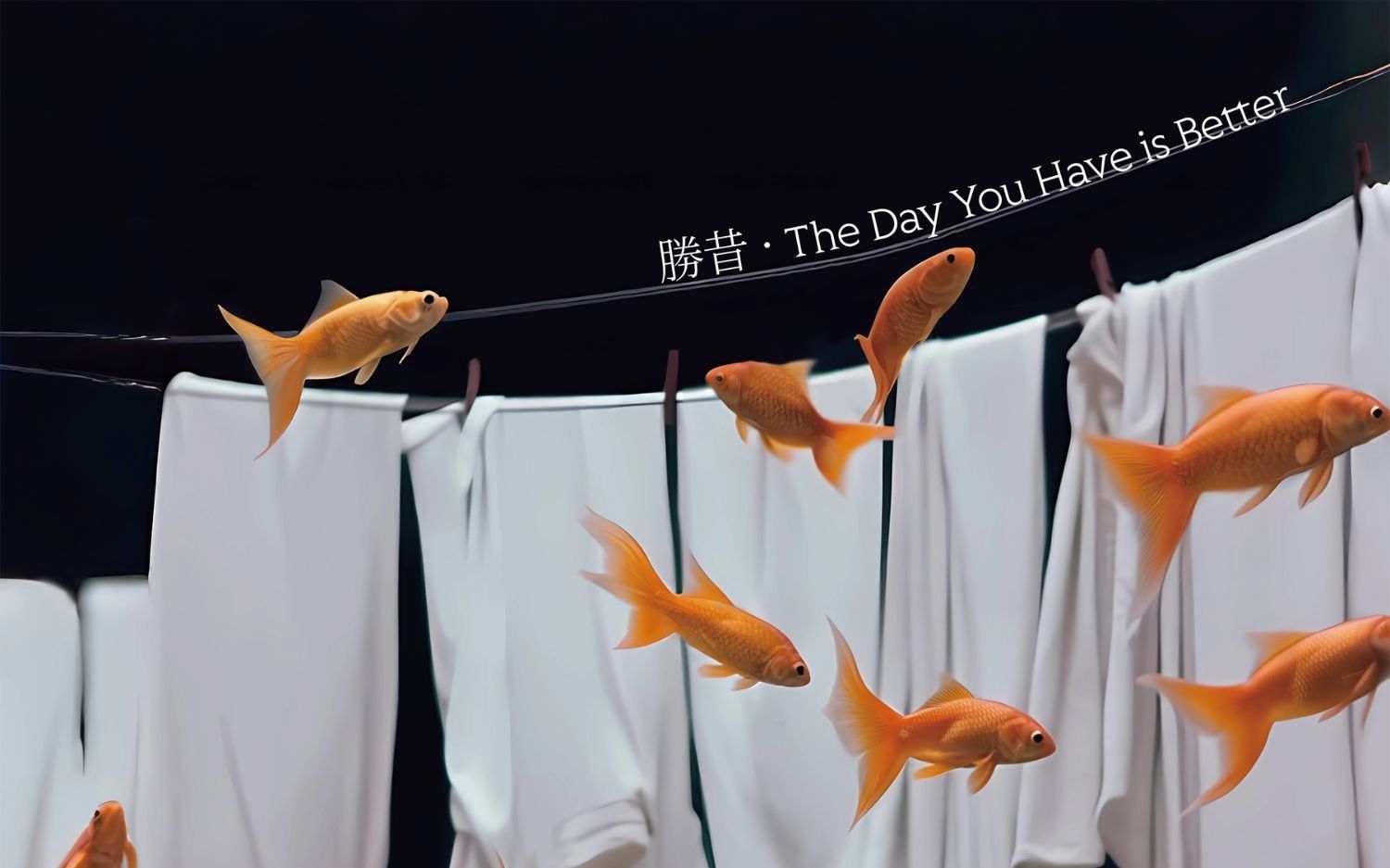 21Grams 新专首发 The Day You Have is Better哔哩哔哩bilibili