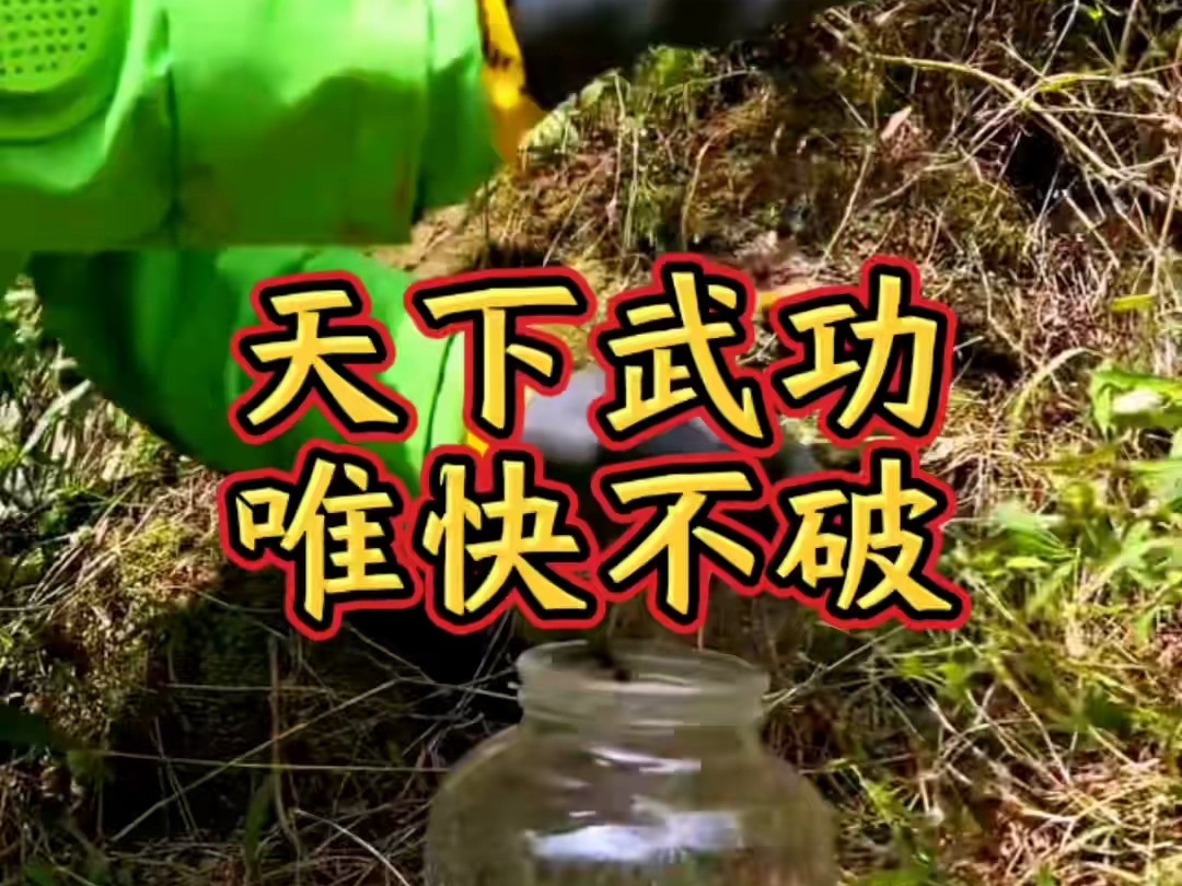 天下武功唯快不破!