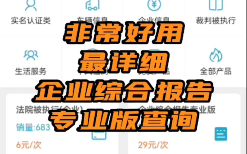 最详细的企业综合报告专业版查询哔哩哔哩bilibili