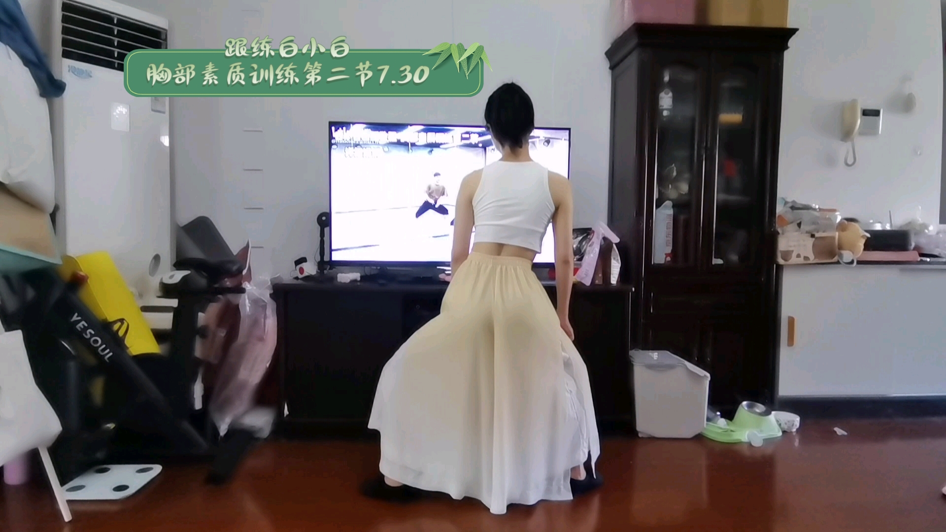 【白小白跟练】中国风爵士舞基本功-胸部素质训练第二节-2