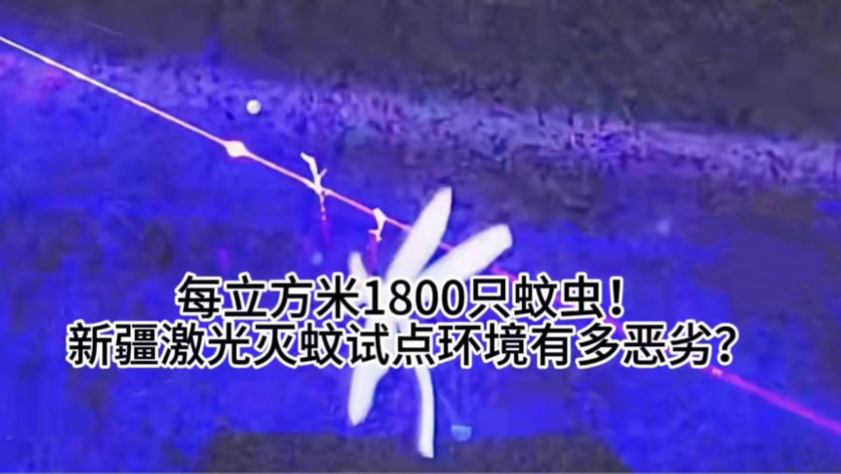 每立方米1800只蚊虫！新疆激光灭蚊试点环境有多恶劣？