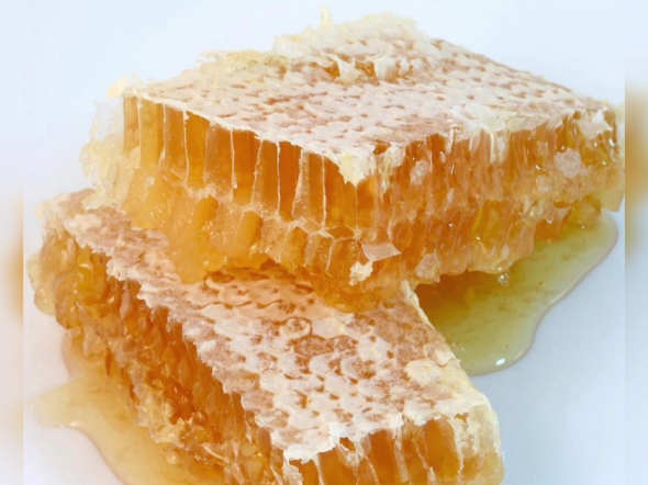 梦见蜂蜜和蜂巢什么预兆(梦到蜂蜜和蜜蜂)