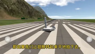 简飞扑翼机