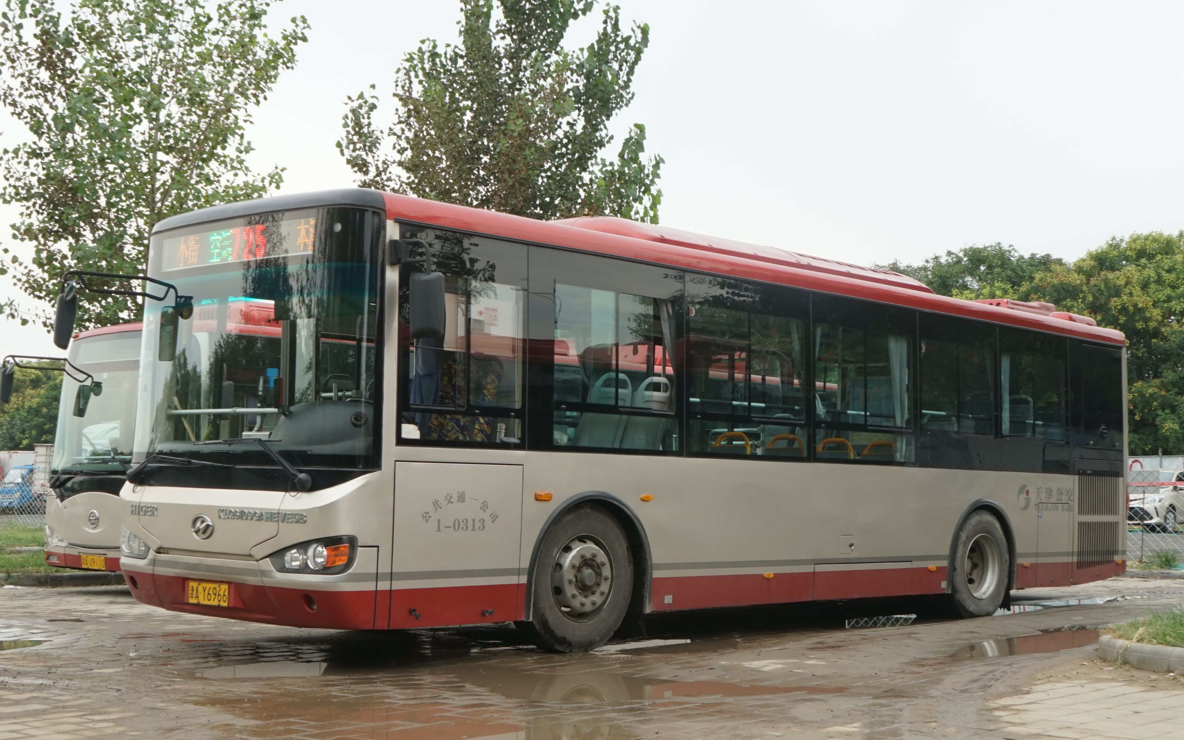 活动  【pov41原速】天津公交 725路(本溪路公交站——小街新苑)原速