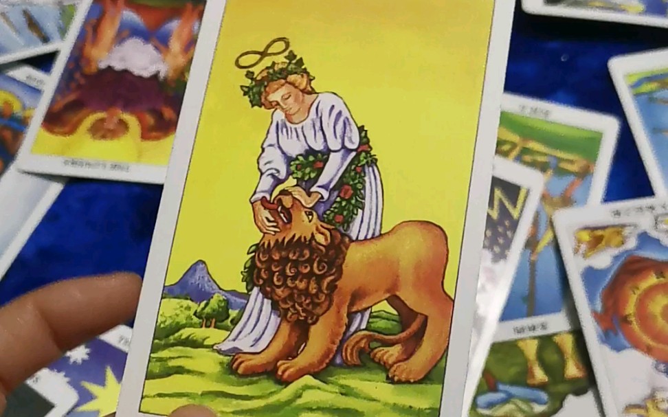 小小塔罗占卜师