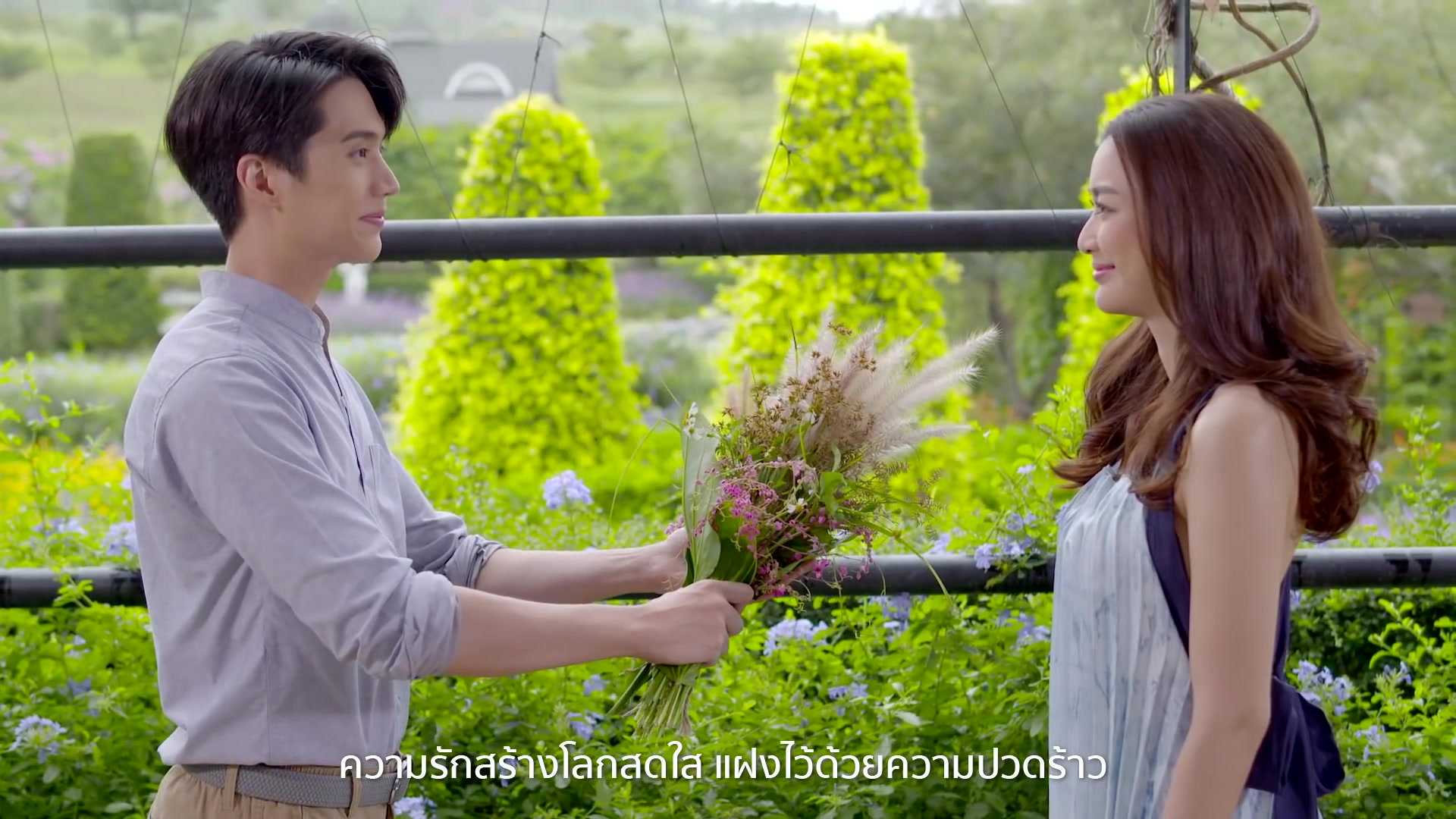 29282929212822212321282827/天际星峦