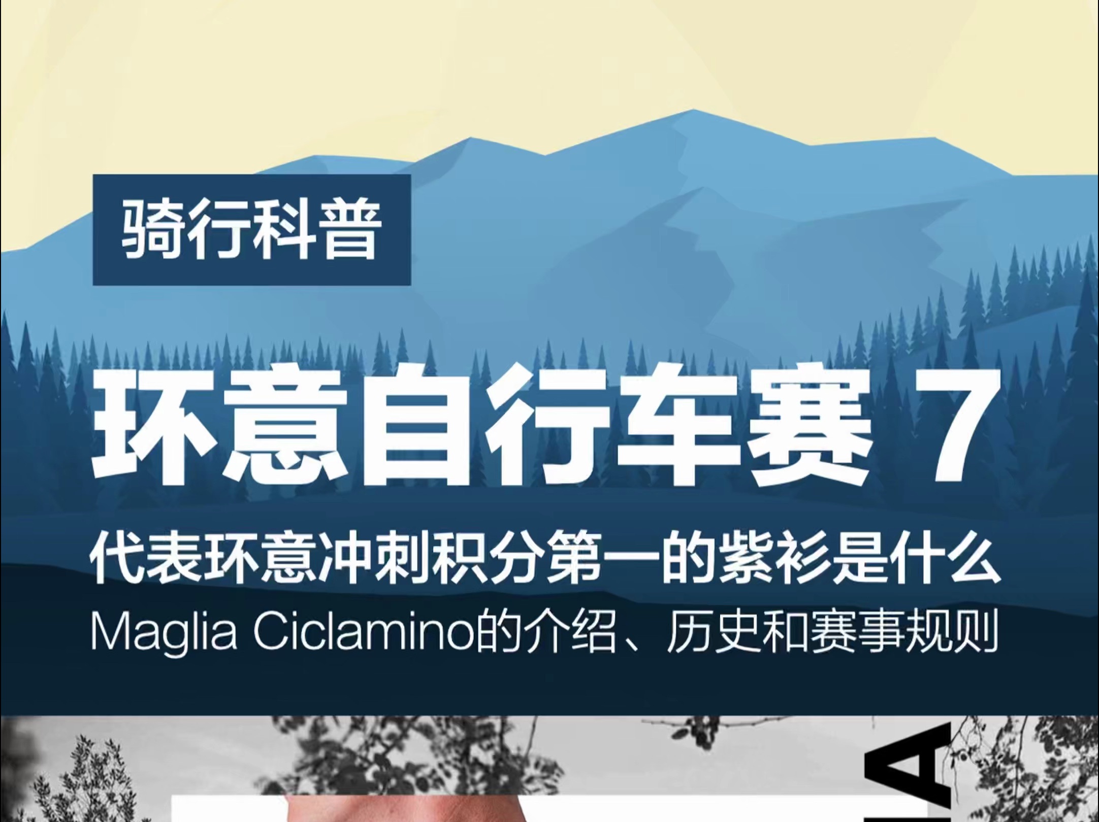 环意紫衫是什么?Maglia Ciclamino的历史和积分规则介绍哔哩哔哩bilibili