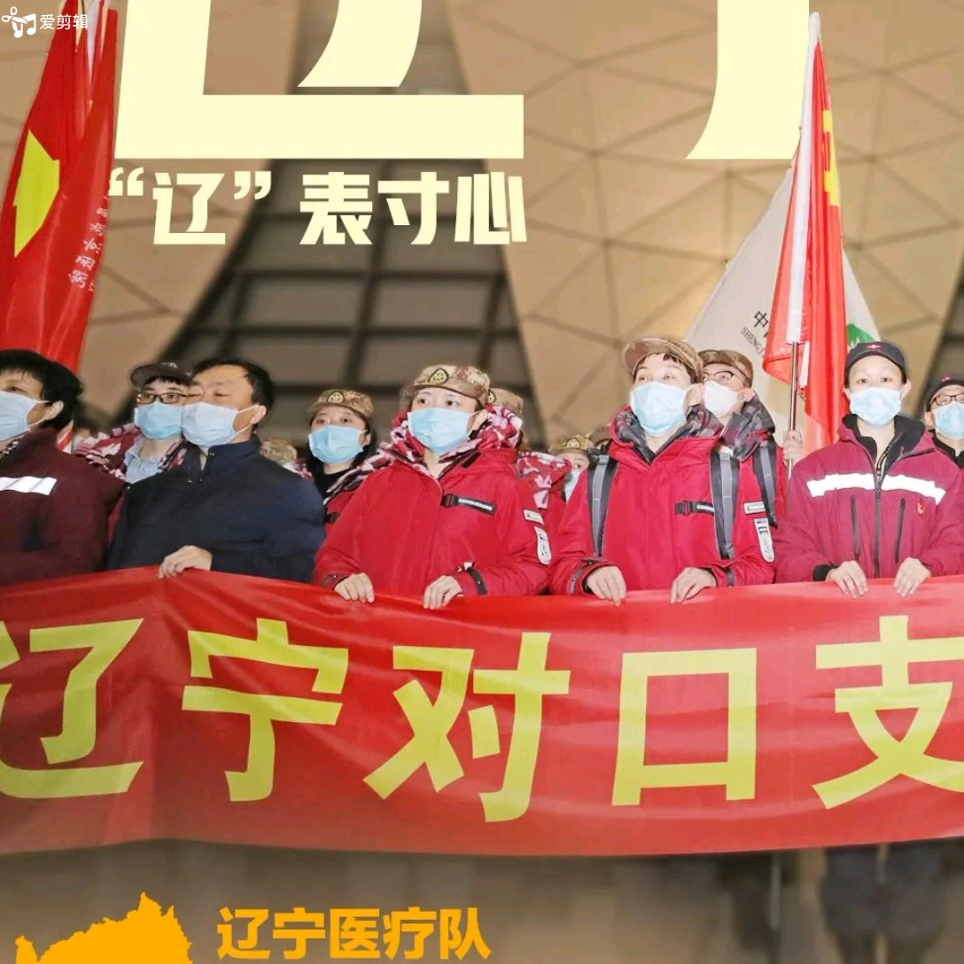 辽表寸心辽宁援鄂医疗队剪影上