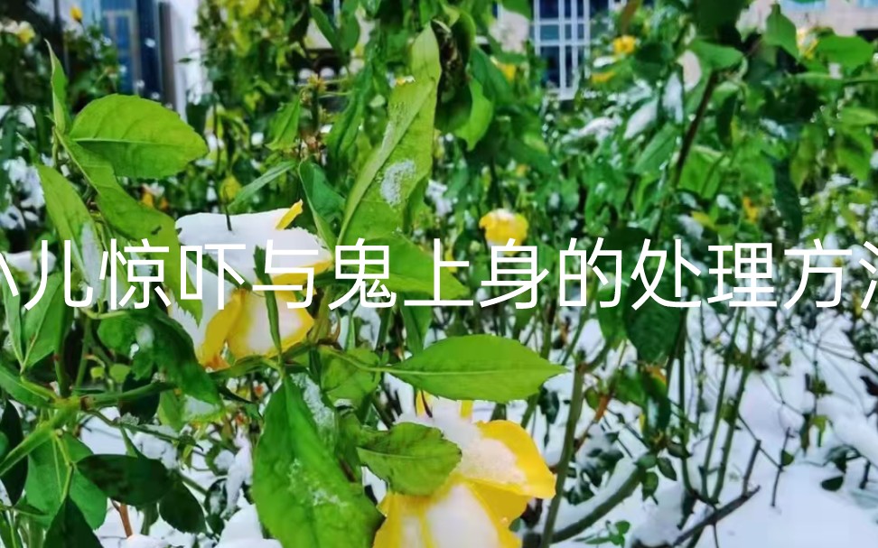 碰见鬼上身怎么办及小儿惊吓的问题哔哩哔哩bilibili