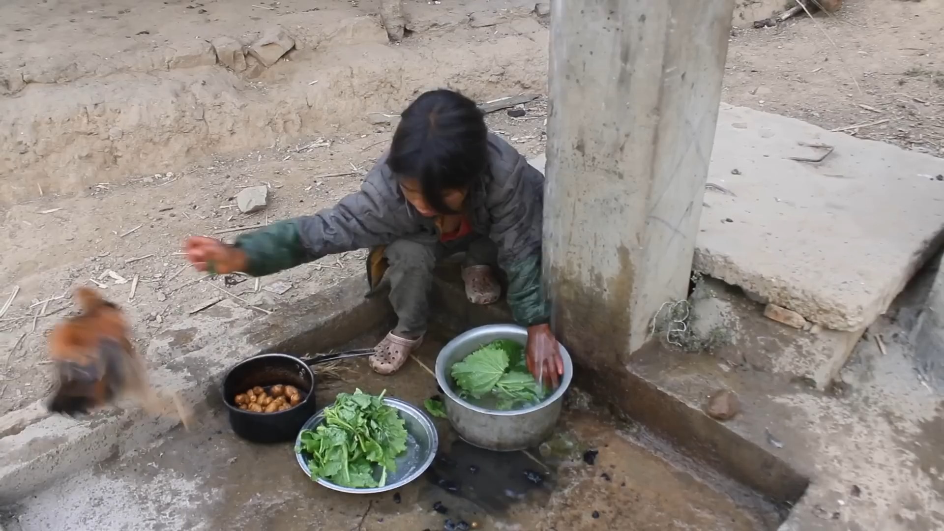 Nepali village || Cooking green vegetables in the village5.28哔哩哔哩bilibili