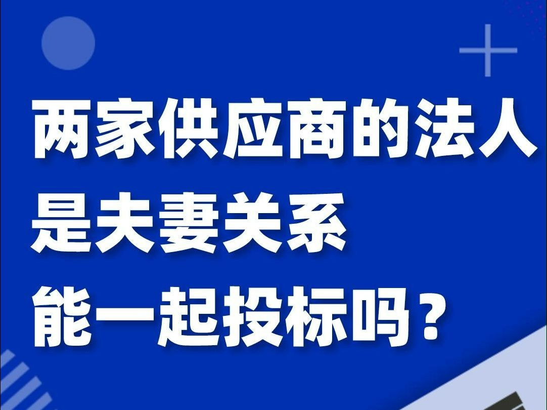 两家供应商的法定代表人是夫妻,能参与同一个项目的投标吗?哔哩哔哩bilibili