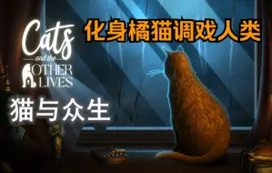 Descargar video: 化身橘猫去调戏愚蠢的人类吧！-【猫与众生】