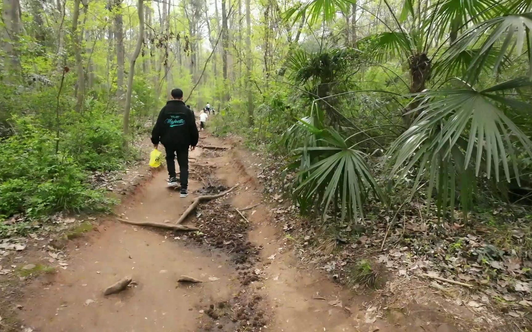 复试完和表弟去爬大蜀山,不走楼梯的爬山方式才是真爬山——上山过程哔哩哔哩bilibili