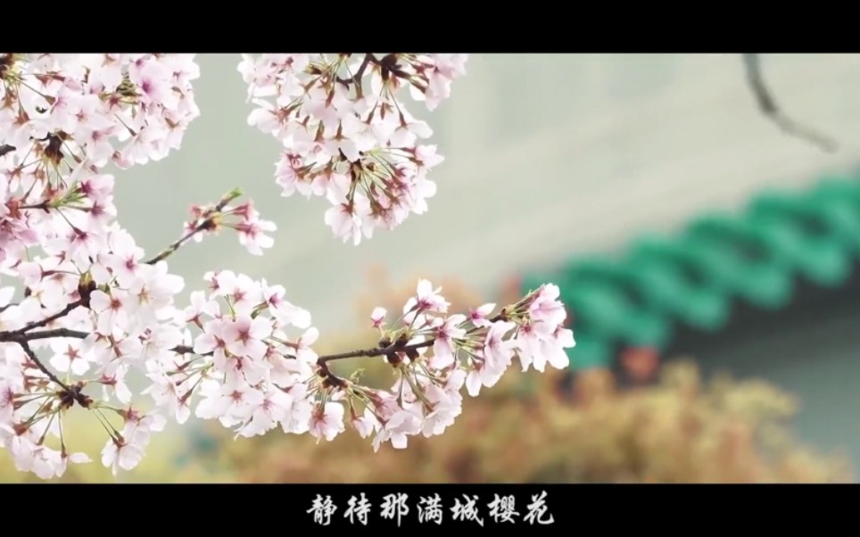 [图]【你有多美】抗击疫情公益歌曲《静待满城樱花》