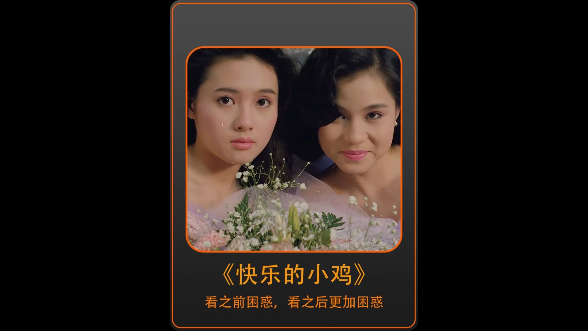 (快乐的小鸡)听起来欢欢喜喜的片名实际上是残酷现实.