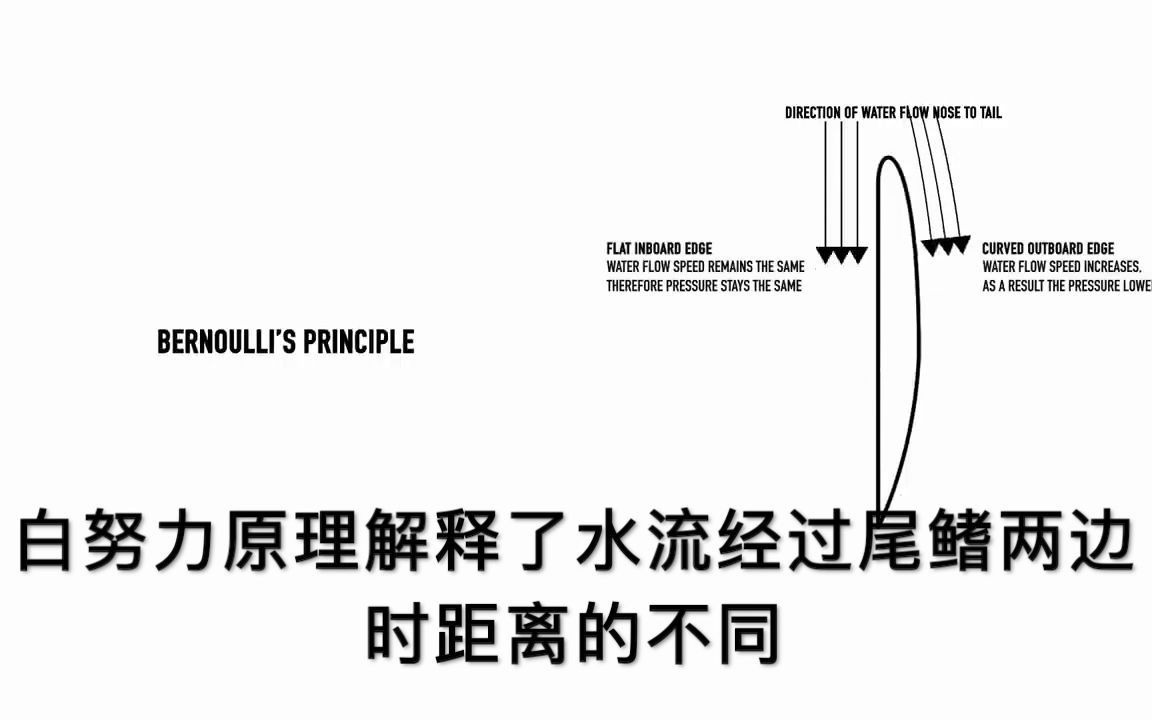 冲浪原理05——冲浪板尾鳍的原理哔哩哔哩bilibili