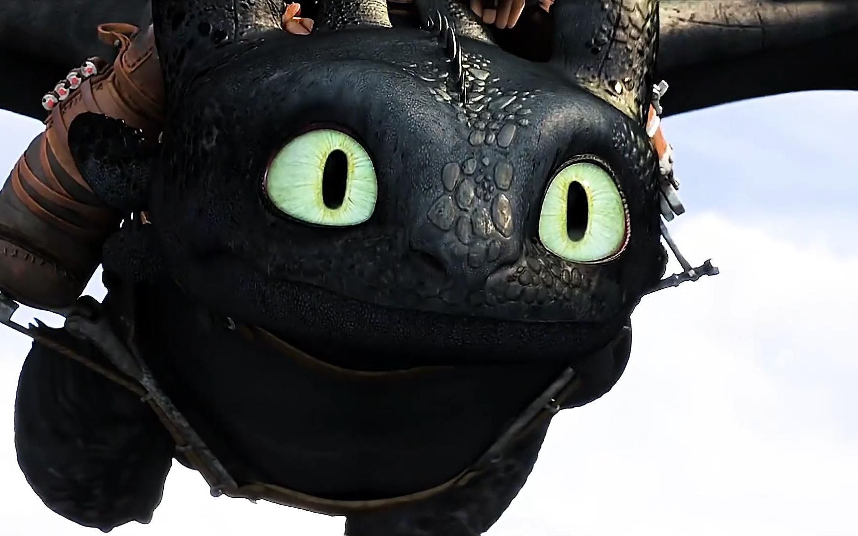 谁能拒绝一只可以与你一起飞翔的无牙仔呢?