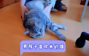 Download Video: 男孩子都喜欢哪些品种的猫！