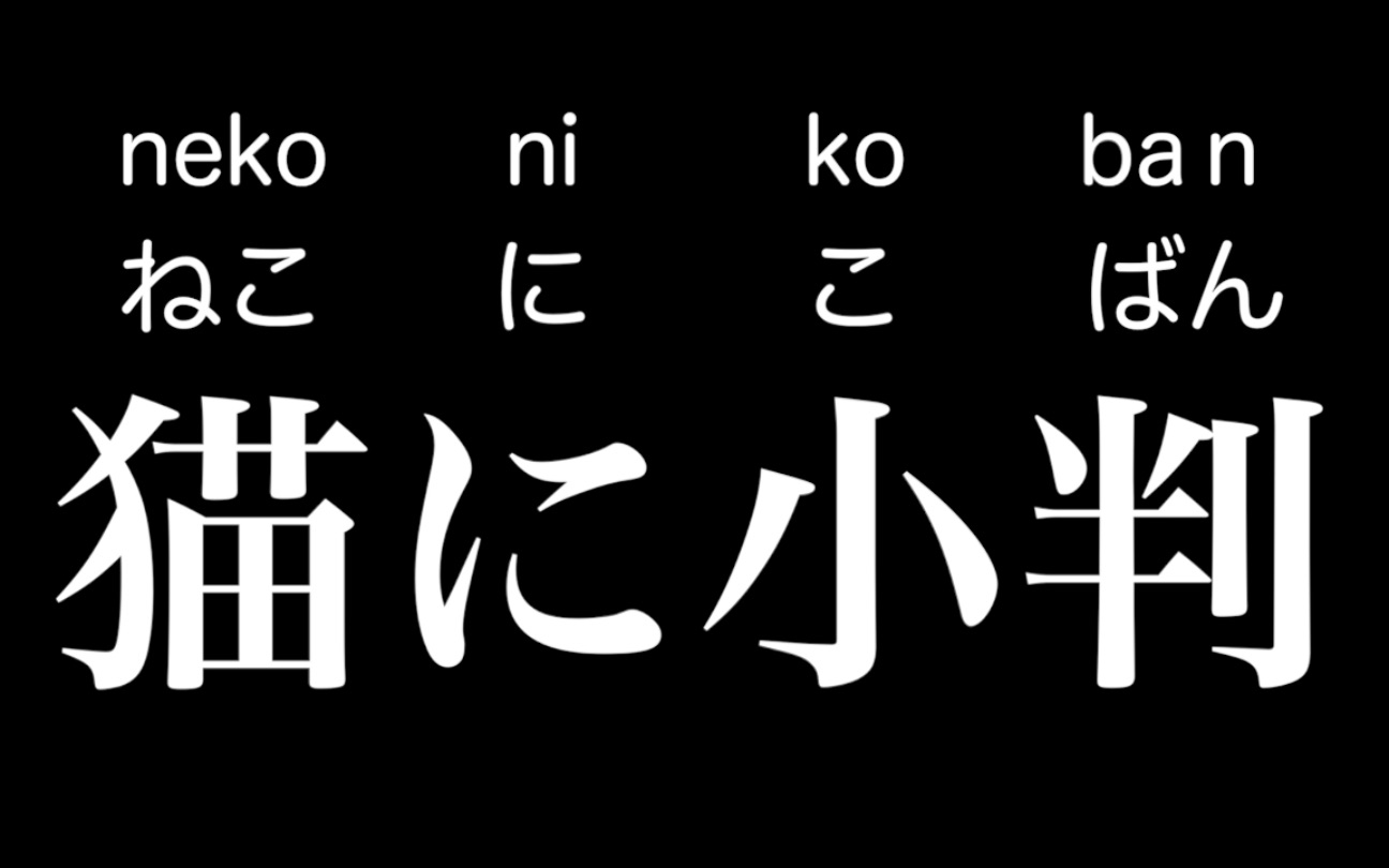 一天一黑木一日语 猫的惯用语哔哩哔哩bilibili