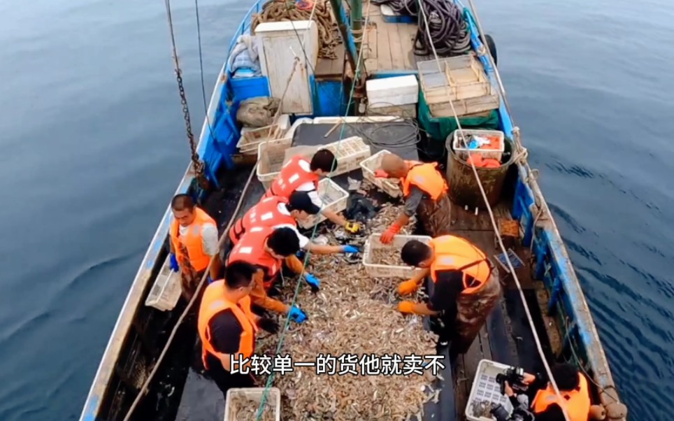 十个勤天出海打渔直播