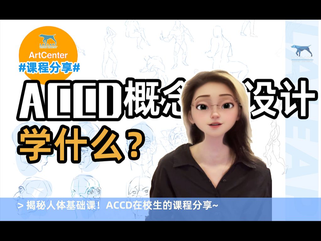 ACCD人体基础课,学什么?哔哩哔哩bilibili