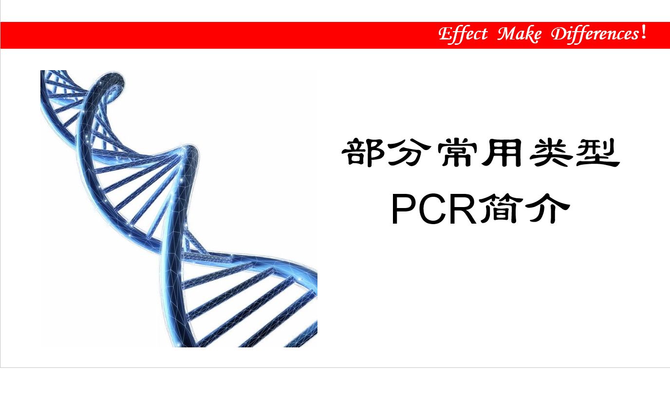 【生物技术】PCR聚合酶链式反应实验操作介绍(4)哔哩哔哩bilibili