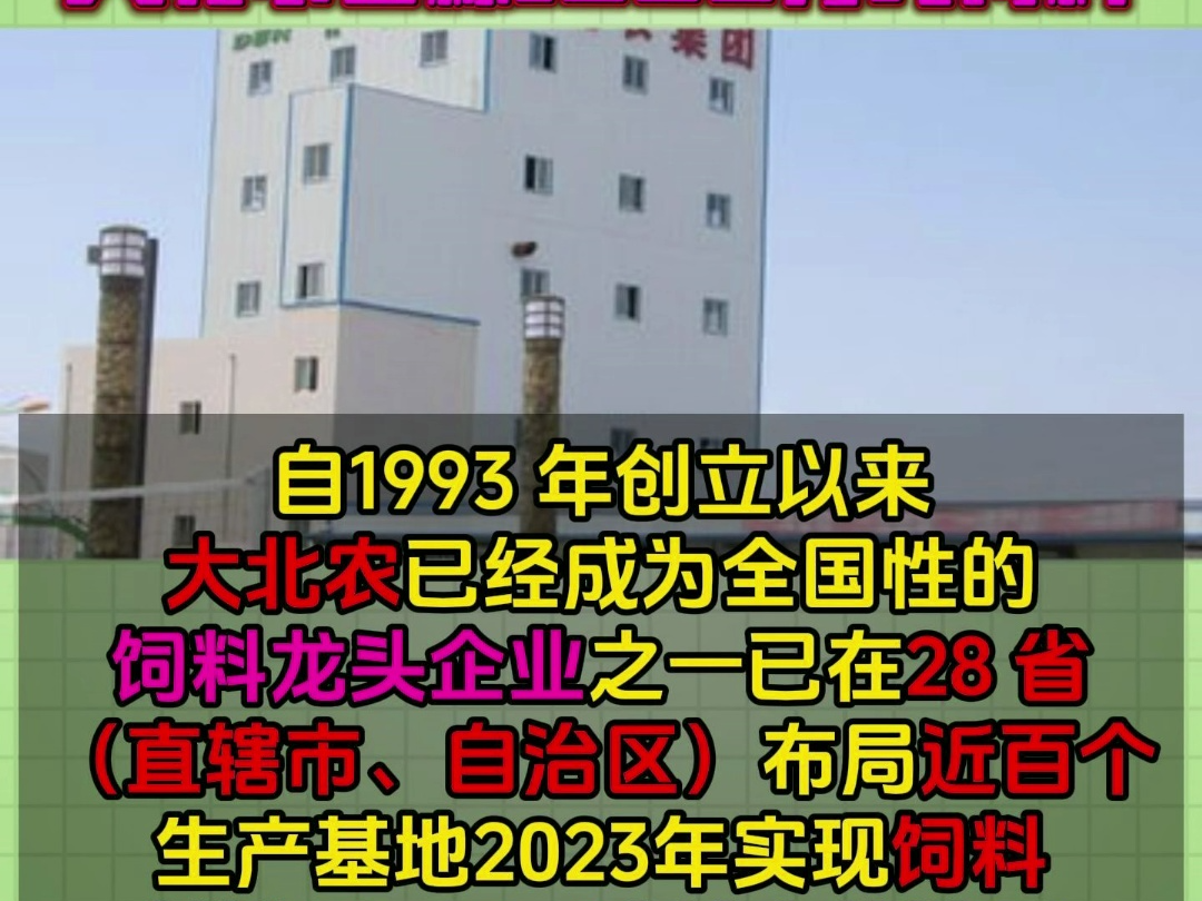 5育肥成本下降1.72元!饲料销售770万吨创新高!大北农目标1000万吨饲料.哔哩哔哩bilibili