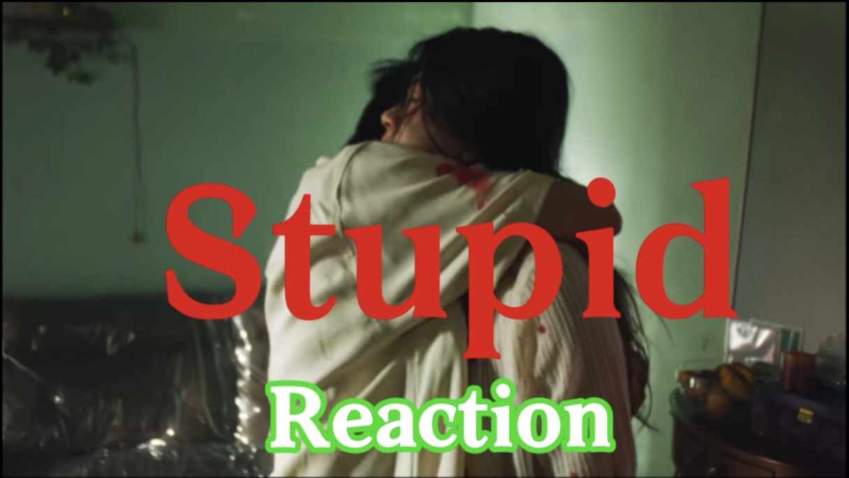 周笔畅《Stupid》Reaction『聪明的世界太认真 认真的世界有点困』哔哩哔哩bilibili