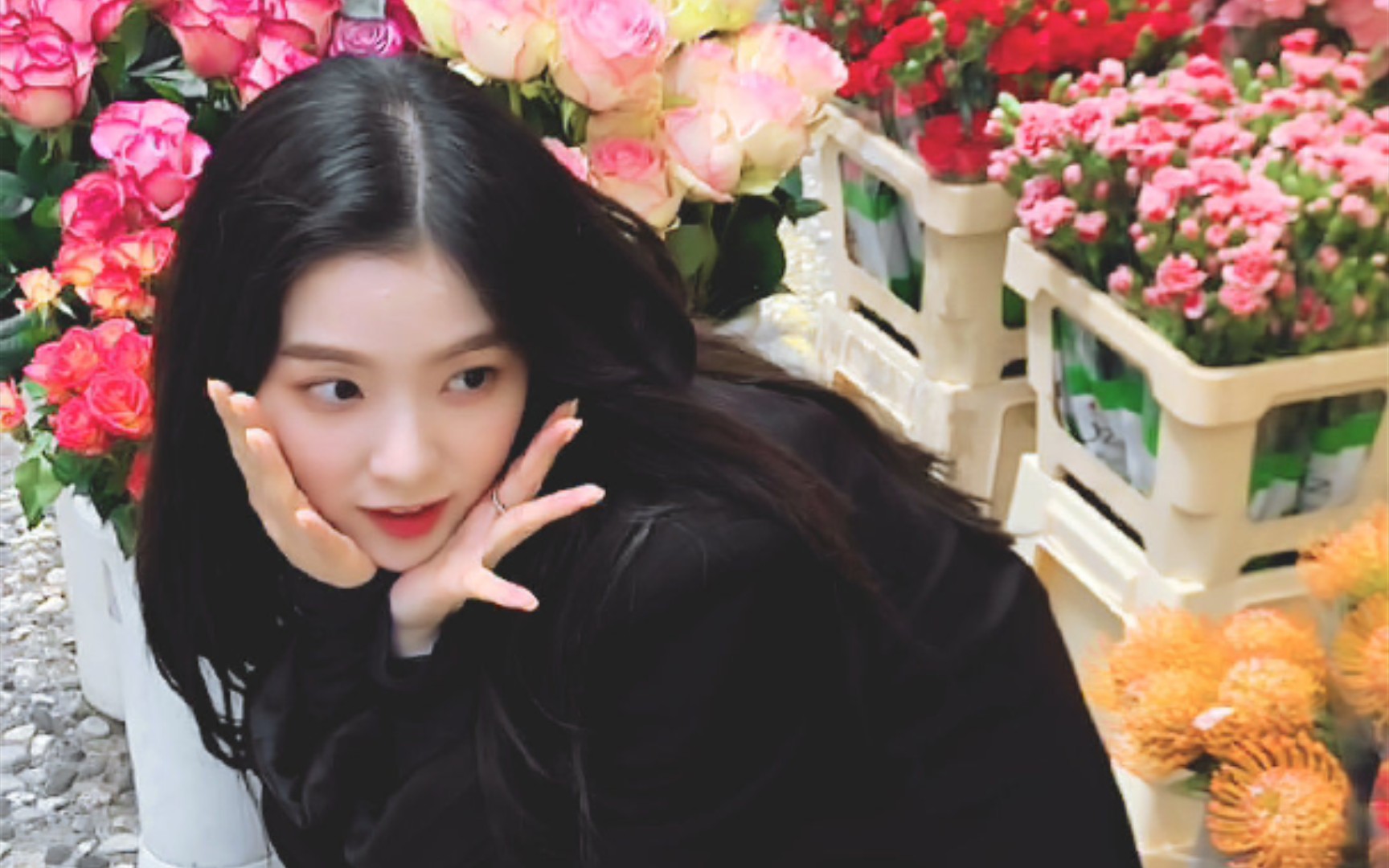 【裴珠泫】但愿日子清净,抬头遇见满眼温柔