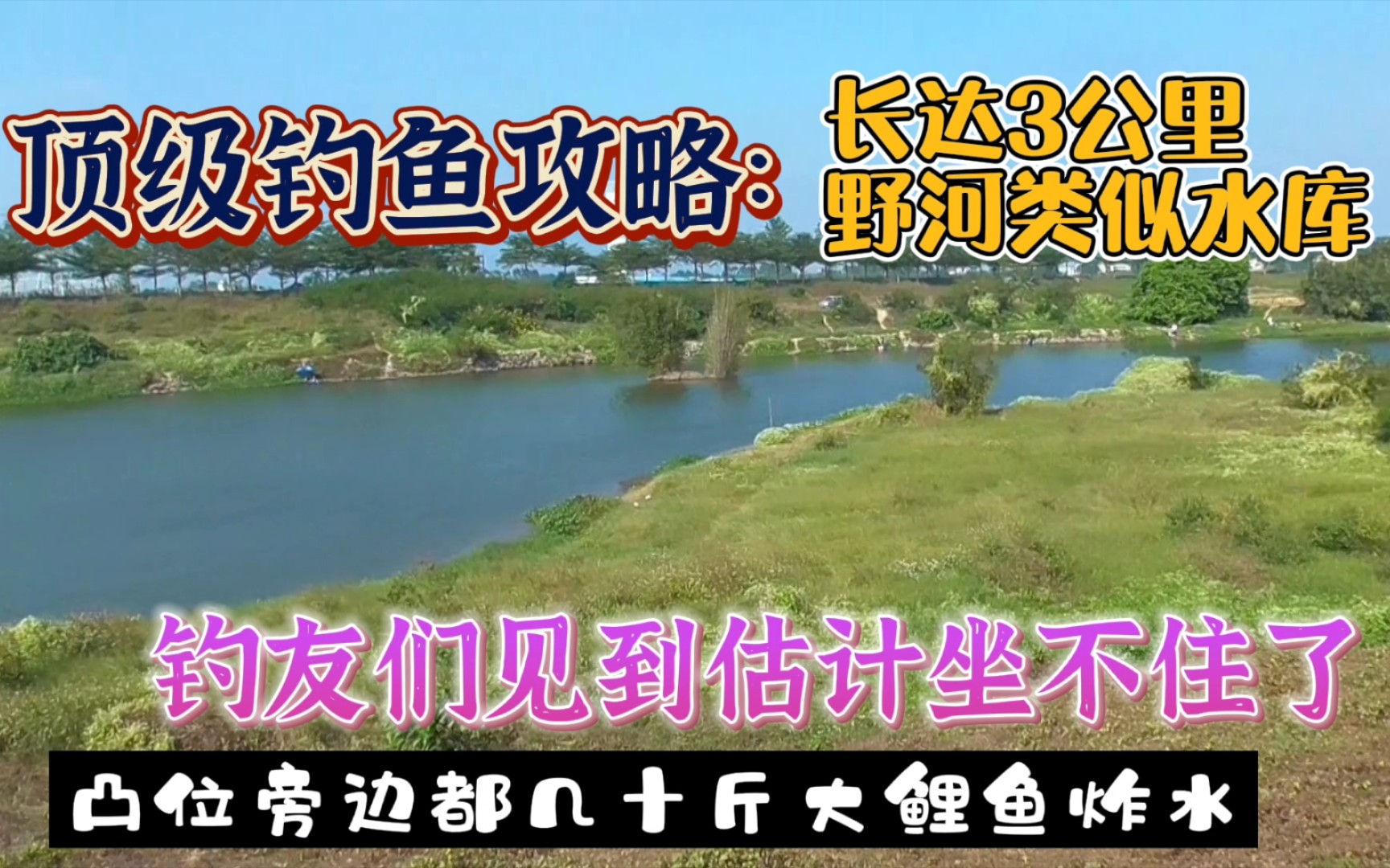 惠州这条野河曾经被渔民捉拿几万斤鱼河道,如今成了钓鱼人的天堂哔哩哔哩bilibili