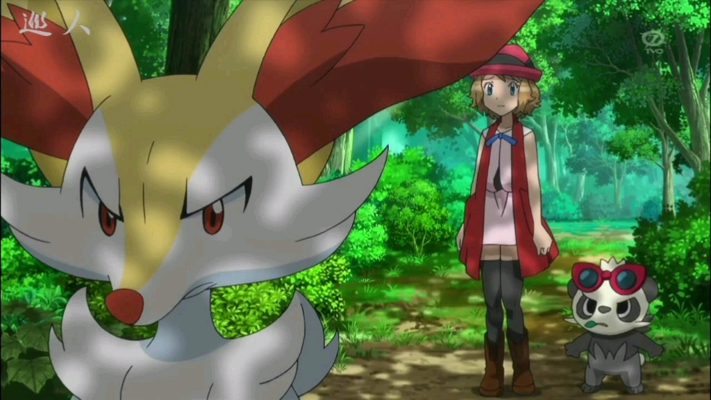 怒而离开莎莉娜的长尾火狐