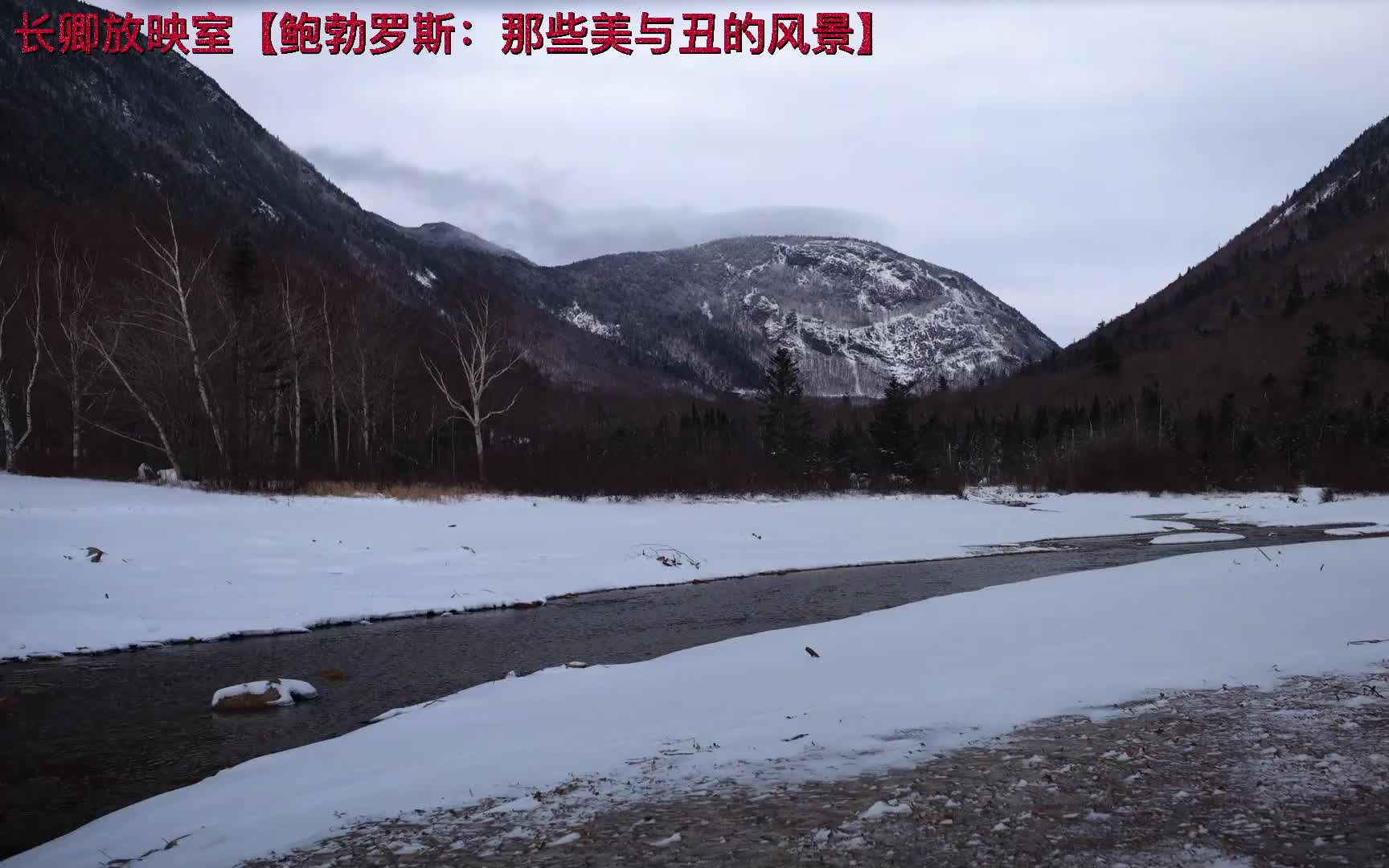 美国纪录片《鲍勃·罗斯:那些美与丑的风景》(2021)豆瓣7.1