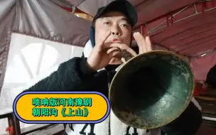 Descargar video: 唢呐演奏一段河南豫剧朝阳沟《上山》条件不允许，将就听！