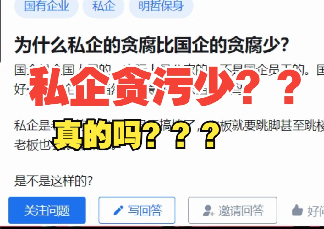 私企贪污比国企少?哔哩哔哩bilibili