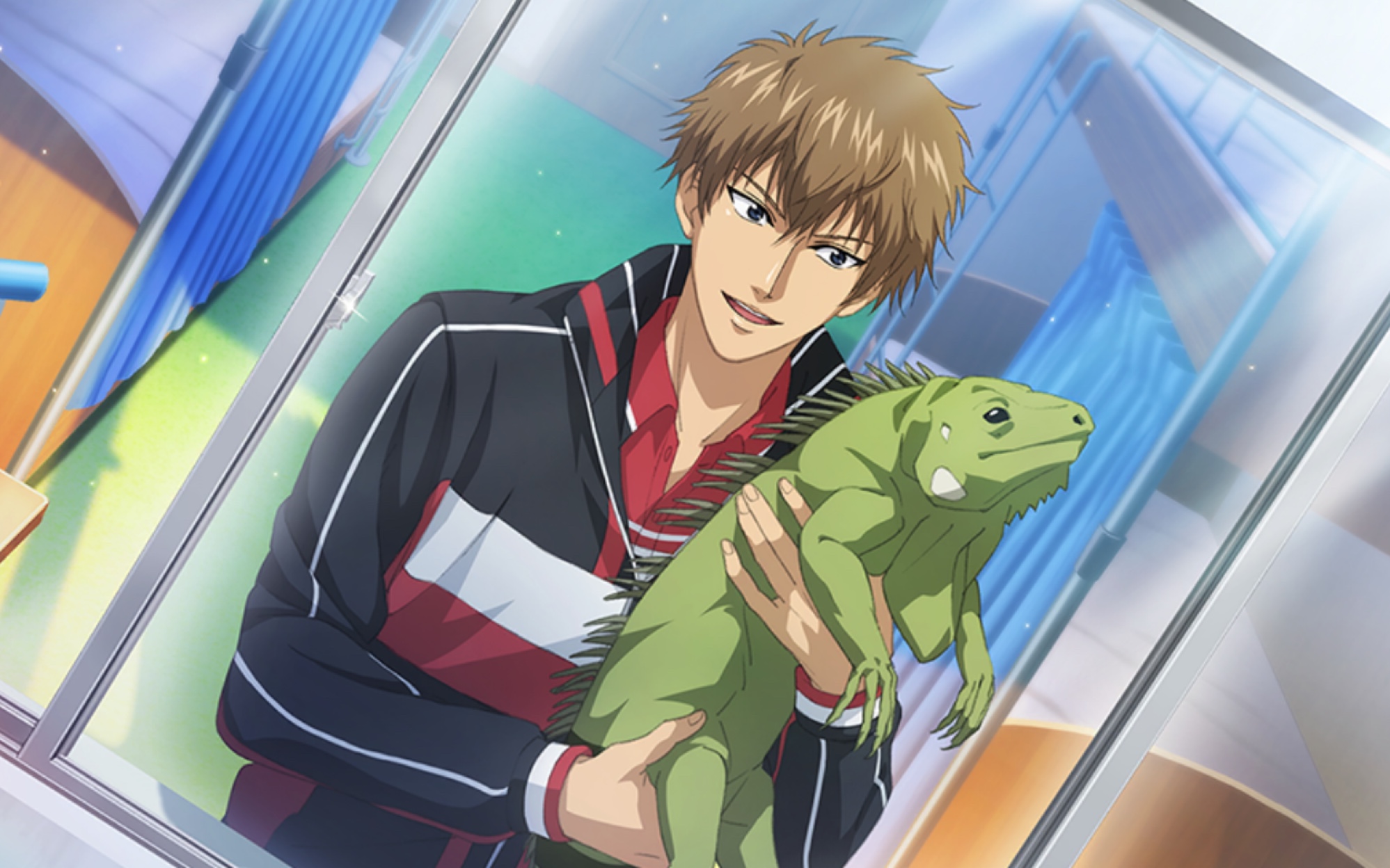 【新网球王子risingbeat】忍足谦也sr卡剧情《惹人怜爱的那个人》