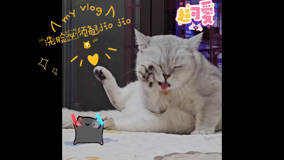 洗脸必须翘jio jio 93