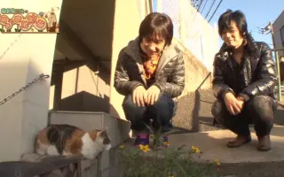 明るいエロ 搜索结果 哔哩哔哩 Bilibili