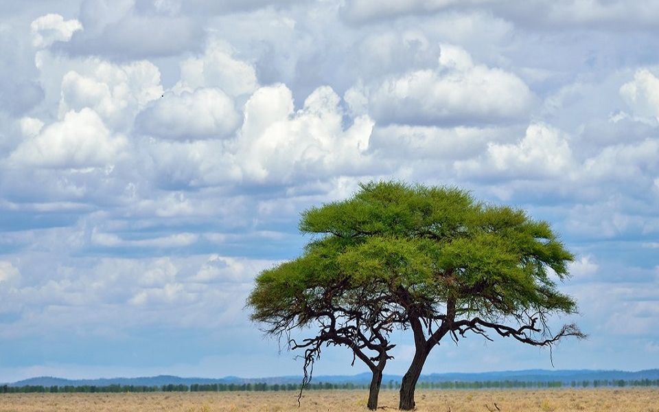 纳米比亚埃托沙国家公园