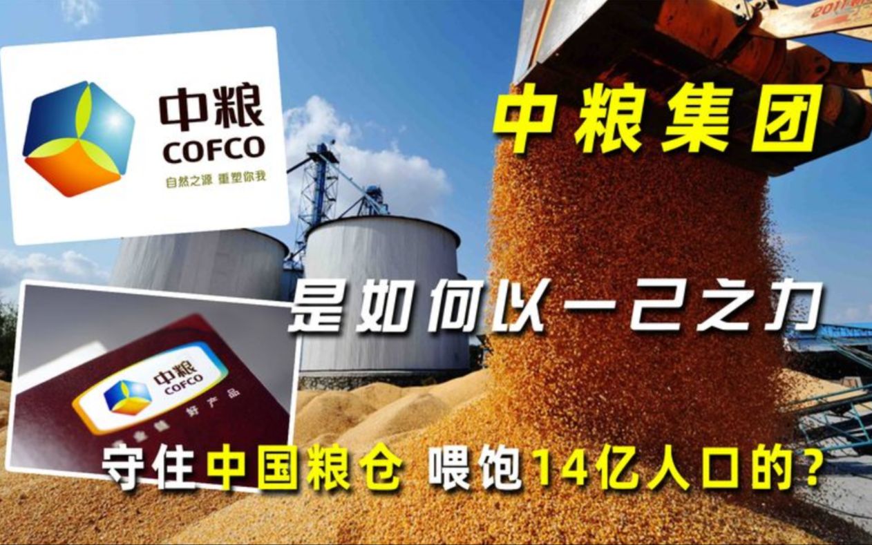 中粮集团是如何以一己之力,守住中国粮仓,喂饱14亿人口的?哔哩哔哩bilibili