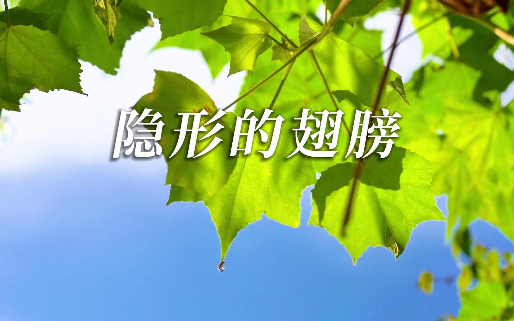 [图]S1313张韶涵《隐形的翅膀》#原唱mv 唯美治愈经典歌曲节日晚会舞蹈演出舞台合唱高清LED视频背景素材#可替换原版伴奏 #完整版