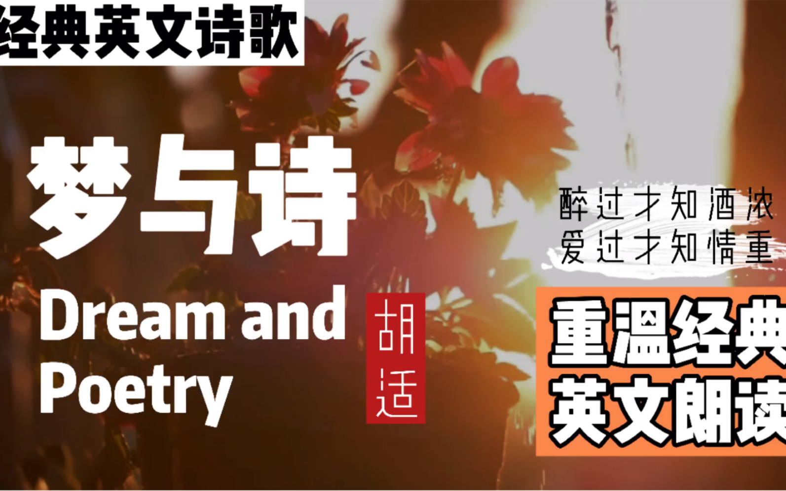 Vol.5|最美英文诗歌:胡适—梦与诗Dream & Poetry|醉过才知酒浓,爱过才知情重哔哩哔哩bilibili