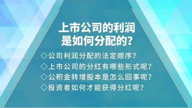 上市公司的利润是如何分配的「理财必知1」哔哩哔哩bilibili