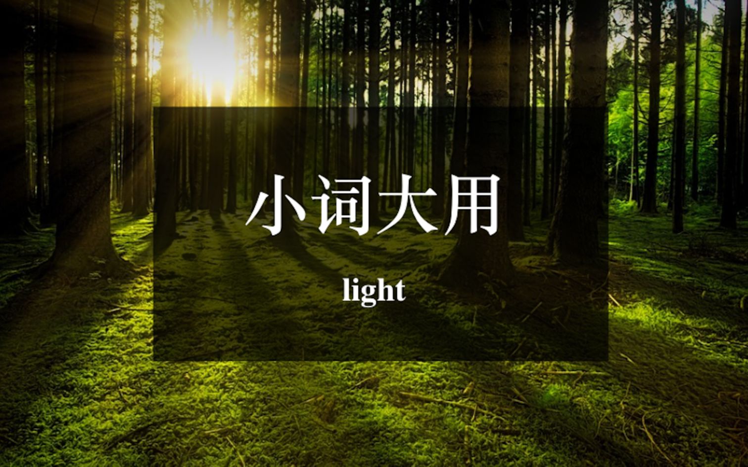 小词大用:light哔哩哔哩bilibili