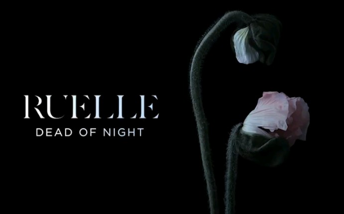 [图]美国音乐人Ruelle - Dead Of Night