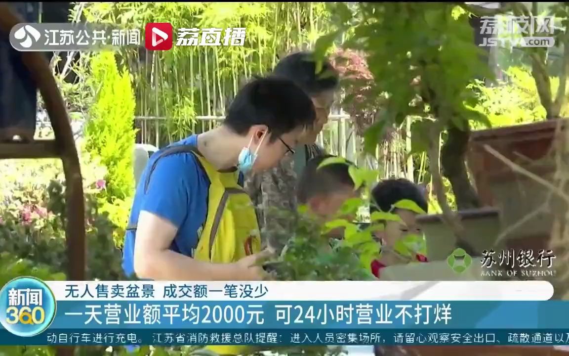 江苏南京,无人售卖盆景摊,24小时不打烊,成交额一笔没少!哔哩哔哩bilibili