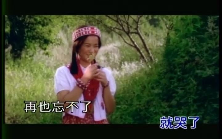 [图]高胜美90年代国语歌曲追风的女儿